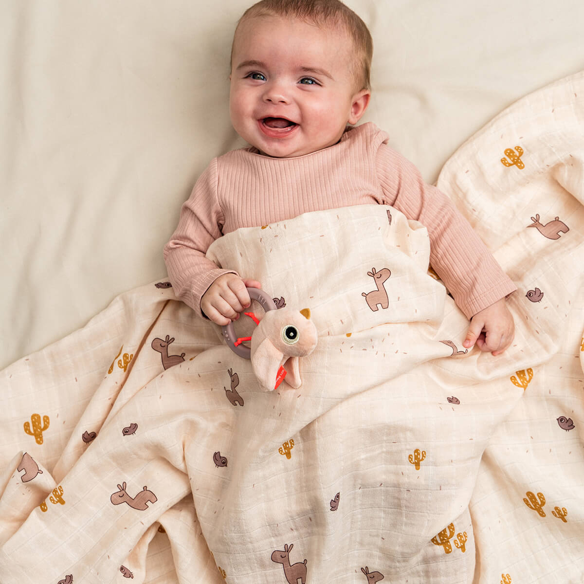 Swaddle - Lalee - Puder