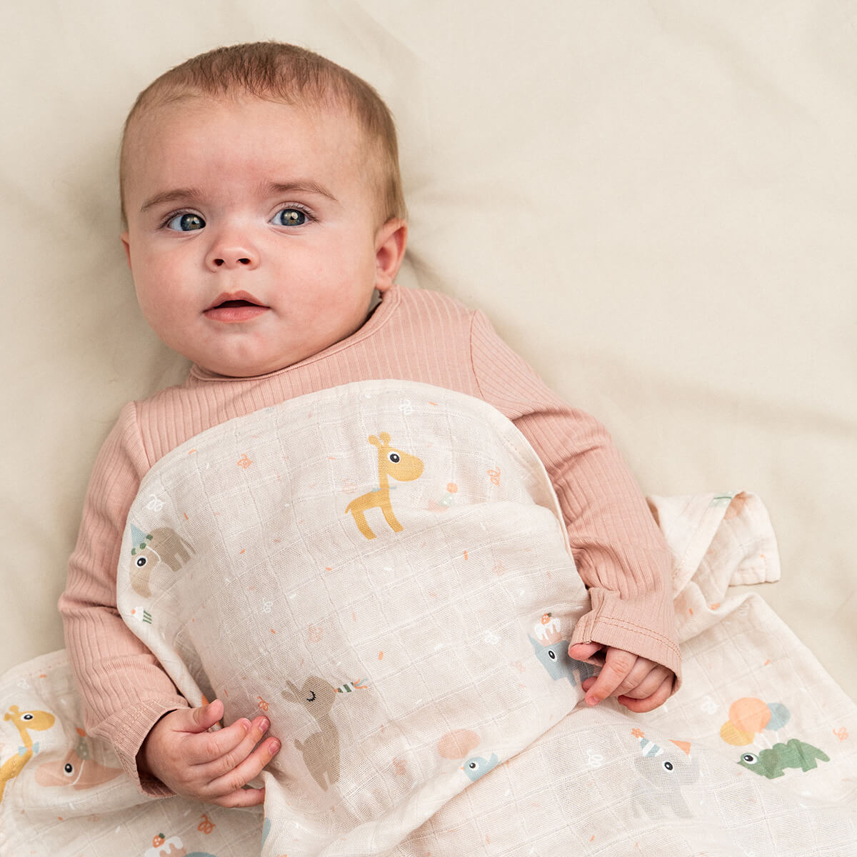 Swaddle - Celebration - Puder